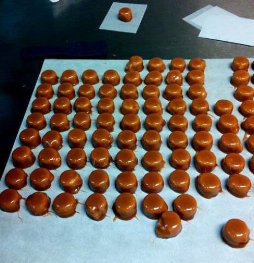 Rows of shiny, orange caramel candies arranged neatly on parchment paper.