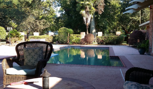 A serene backyard scene featuring a pool, lush greenery, and comfortable seating in a sunny setting.