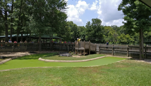 A zoo scene featuring a green pond, wooden play structure, and visitors observing from a fenced area under a blue sky.