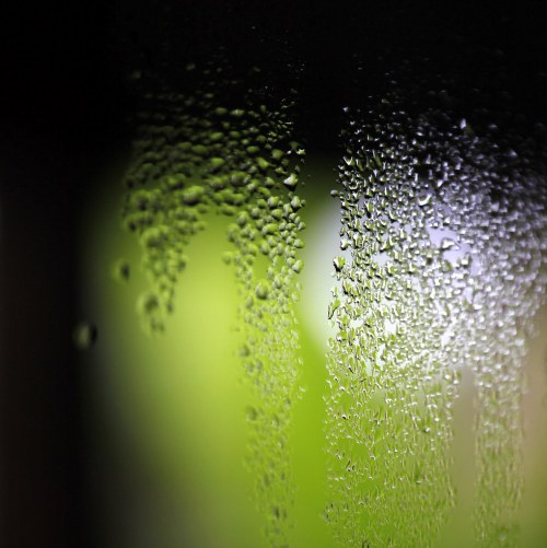 Close-up of water droplets on a foggy glass surface, with a blurred green background.