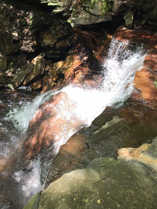 A cascading waterfall flows over rocky terrain, surrounded by lush greenery and sunlight filtering through the trees.