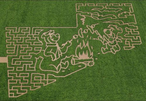 Aerial view of a corn maze featuring cartoon characters around a campfire.