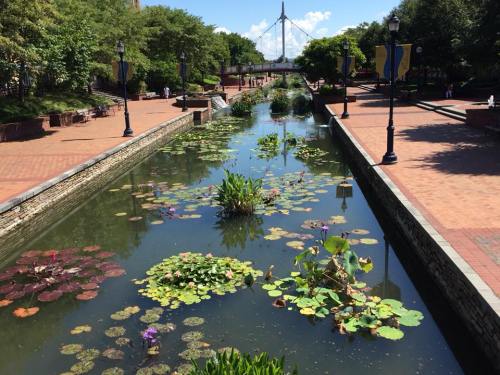 A serene park scene featuring a waterway with lily pads, surrounded by trees and brick pathways under a clear blue sky.