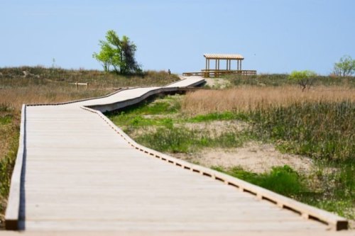 A winding wooden boardwalk leads through tall grass to a gazebo in a sunny landscape.