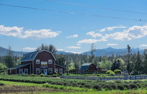 A red barn with a sign, surrounded by green fields and mountains under a blue sky with fluffy clouds.