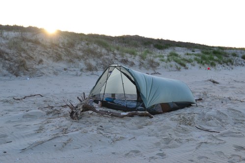 A tent set up on a sandy beach at sunset, surrounded by grass and driftwood.