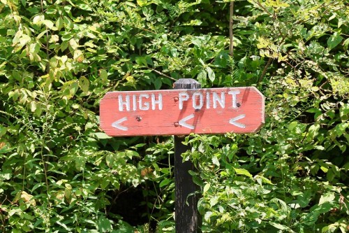 Wooden signpost reading "HIGH POINT" with arrows pointing left, surrounded by green foliage.