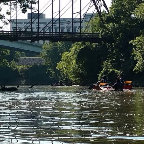 Two kayakers paddle on a calm river beneath a bridge, surrounded by lush greenery and reflections on the water.