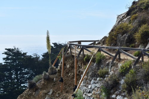 A wooden railing along a cliffside path overlooking the ocean, surrounded by greenery and rocky terrain.