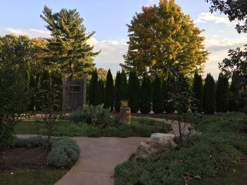 A serene garden path surrounded by tall green trees and shrubs, with a wooden gate in the background under a clear sky.