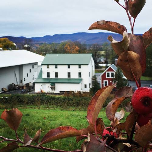 A scenic view of a farm with green and red buildings, mountains in the background, and autumn foliage in the foreground.