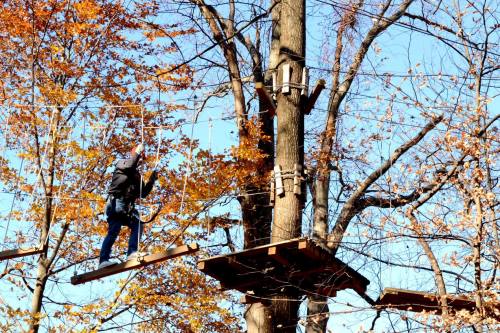 A person navigates a rope bridge high in the trees, surrounded by autumn foliage and a clear blue sky.