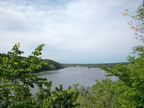 A serene river view surrounded by lush green trees under a cloudy sky.
