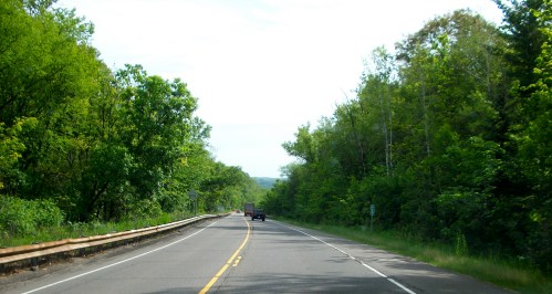 A winding road surrounded by lush green trees under a clear sky.