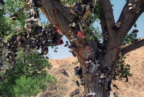 A tree adorned with numerous pairs of shoes hanging from its branches against a clear blue sky.