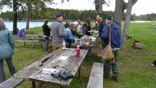 A group of people gather around a picnic table, enjoying food and drinks by a scenic lakeside park.
