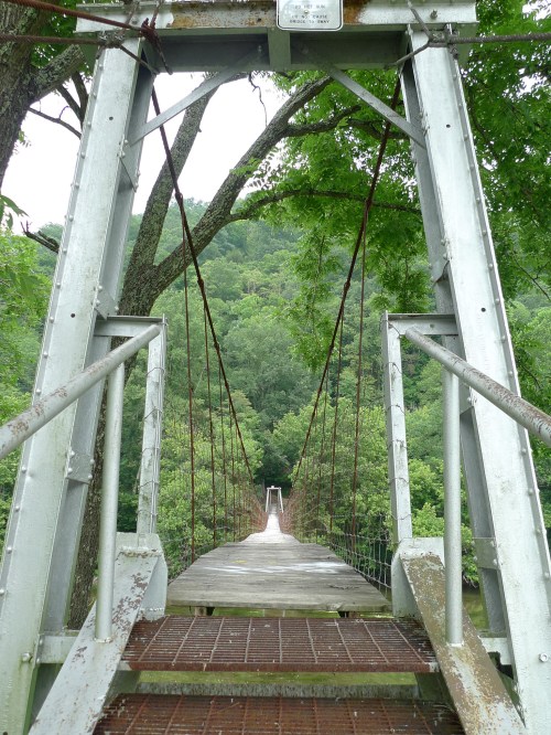 A suspension bridge stretches over a lush green landscape, surrounded by trees and hills.