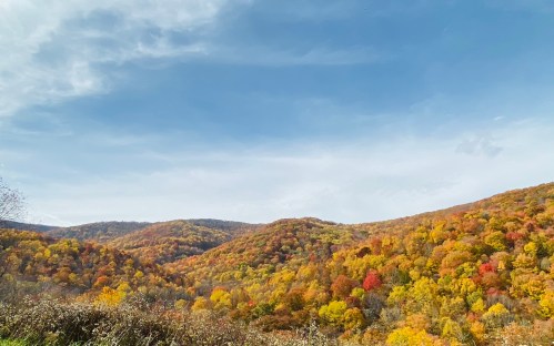 Vibrant autumn landscape with rolling hills covered in colorful foliage under a blue sky.