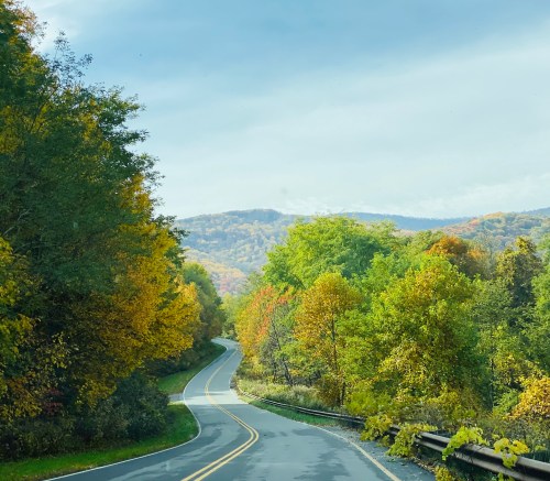 Winding road through vibrant autumn trees with mountains in the background under a cloudy sky.