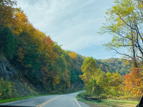 A winding road surrounded by vibrant autumn foliage and rolling hills under a clear sky.