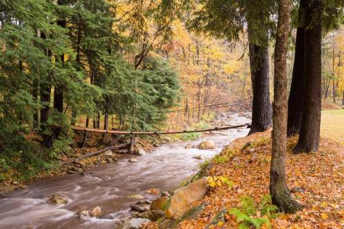 A serene river flows through a forest with autumn leaves, surrounded by trees and rocky banks.