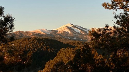 Snow-capped mountain peak rises above a forested landscape under a clear sky during golden hour.