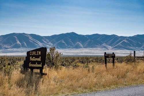Sign for Curlew National Grassland with mountains in the background and a clear blue sky. Grassy landscape in foreground.
