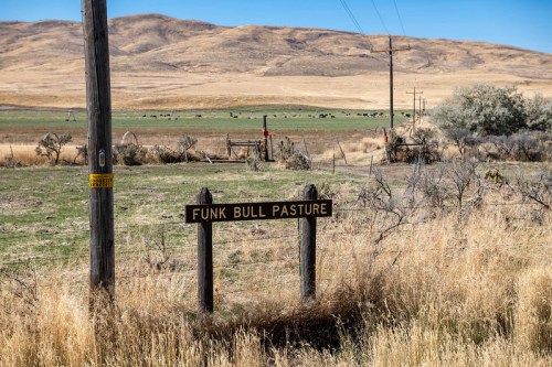 Sign for "Funk Bull Pasture" in a rural landscape with hills and grazing cattle in the background.