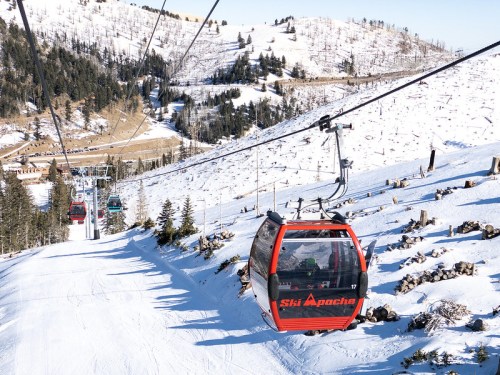 A red ski gondola travels up a snowy mountain, surrounded by trees and ski slopes under a clear blue sky.
