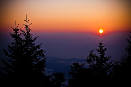 Sunset over a mountain landscape, framed by silhouettes of evergreen trees against a colorful sky.