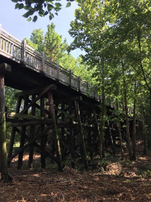 A wooden bridge elevated on stilts, surrounded by lush green trees and foliage under a clear blue sky.