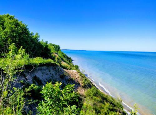 A serene coastal view with lush greenery and a clear blue sky over calm waters.