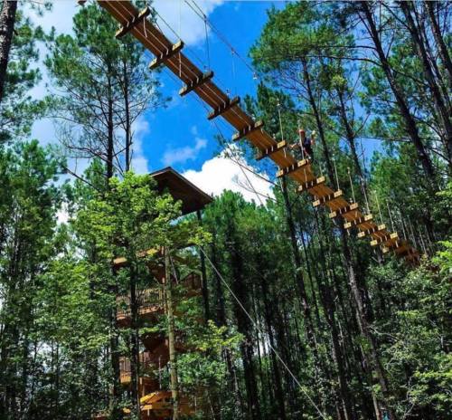 A high ropes course with wooden bridges suspended between trees in a lush forest under a blue sky.