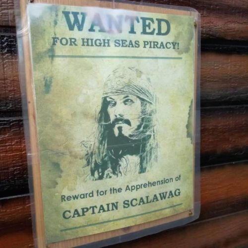 Wanted poster for "Captain Scalawag," offering a reward for his capture, featuring a pirate illustration.
