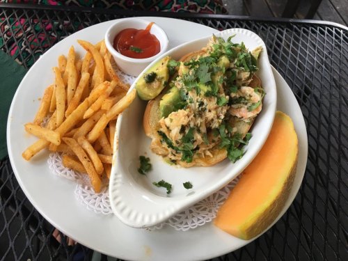A plate with shredded chicken topped with avocado and cilantro, served with fries, ketchup, and a slice of cantaloupe.