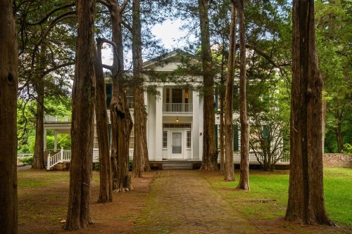 A historic white house surrounded by tall trees, with a brick pathway leading to the entrance.