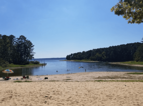 A sandy beach by a calm lake, surrounded by trees under a clear blue sky, with people enjoying the water.