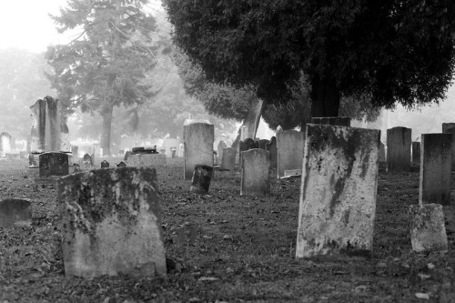 A misty cemetery with weathered gravestones surrounded by trees, creating a somber and tranquil atmosphere.