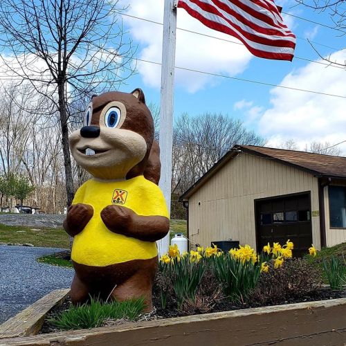 A cheerful chipmunk statue in a yellow shirt stands among flowers, with an American flag and trees in the background.