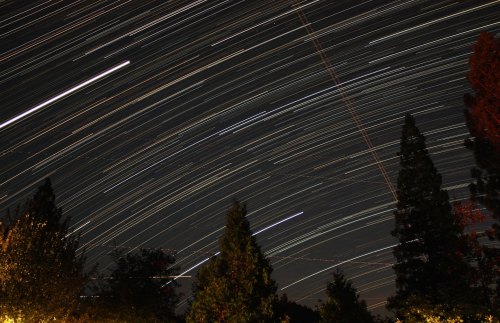 A night sky filled with star trails, with trees silhouetted in the foreground against a dark backdrop.