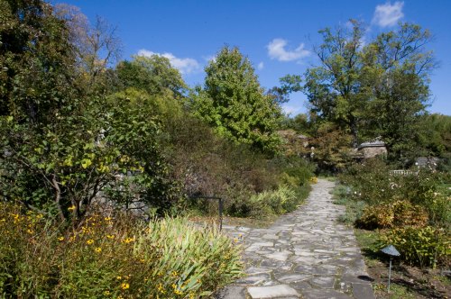 A stone pathway winds through a lush garden with colorful flowers and trees under a clear blue sky.