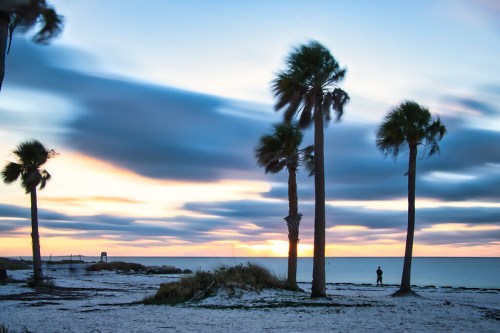 A serene beach scene at sunset, featuring palm trees and a person silhouetted against colorful clouds and the ocean.