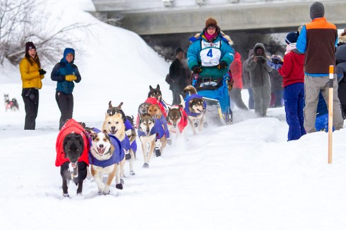 A team of sled dogs in colorful jackets pulls a sled through snowy terrain, with spectators cheering in the background.