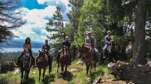 A group of five people on horseback in a forested area with a lake in the background and a bright blue sky.