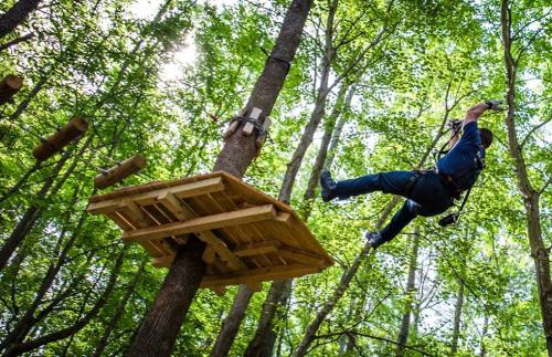A person zip-lining through a forest, with a wooden platform visible among the trees. Sunlight filters through the leaves.