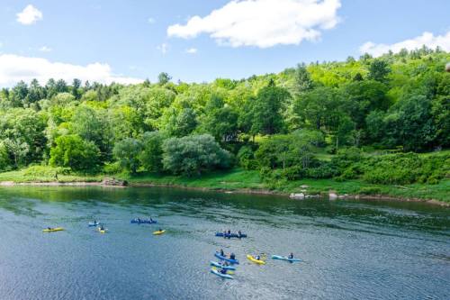 Aerial view of kayakers in blue and yellow kayaks on a calm river surrounded by lush green trees and a clear blue sky.