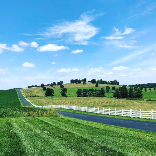 A scenic landscape featuring rolling green hills, a winding road, and a blue sky with fluffy clouds.