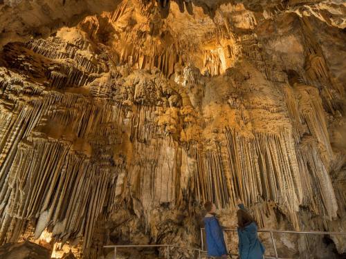 Two people admire stunning stalactites and stalagmites in a well-lit cave.