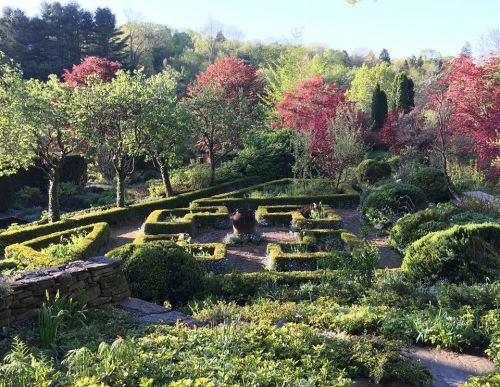 A lush garden with neatly trimmed hedges, colorful trees, and a central pot surrounded by vibrant greenery.