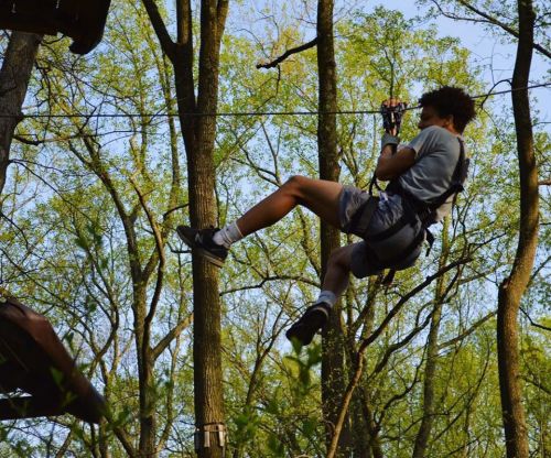 A person zip-lining through a forest, surrounded by green trees and sunlight.